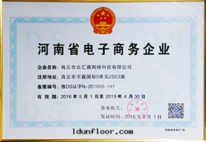 河(hé)南省(shěng)電(diàn)子商務(wù)企業